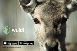 KS/AUXILIA: Wildwarner App Wuidi